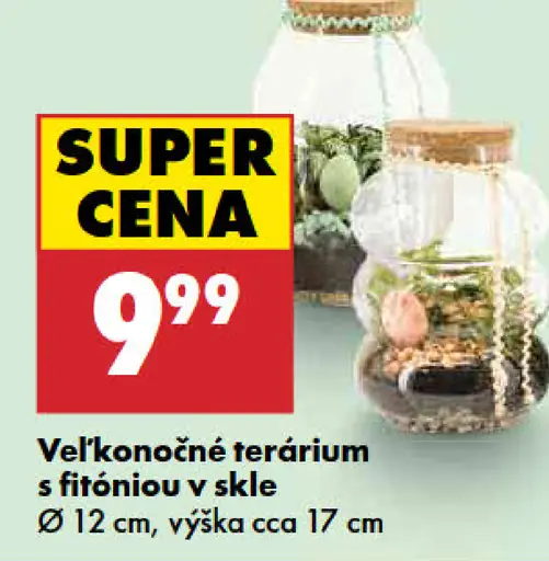 Veľkonočné terárium s fitóniou v skle