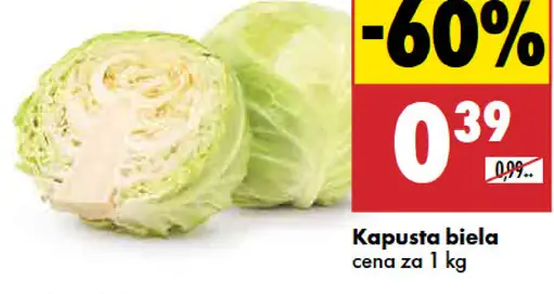 Kapusta biela