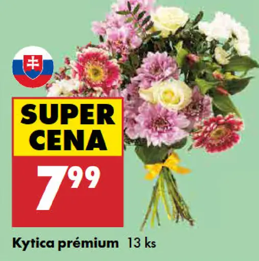 Kytica Premium