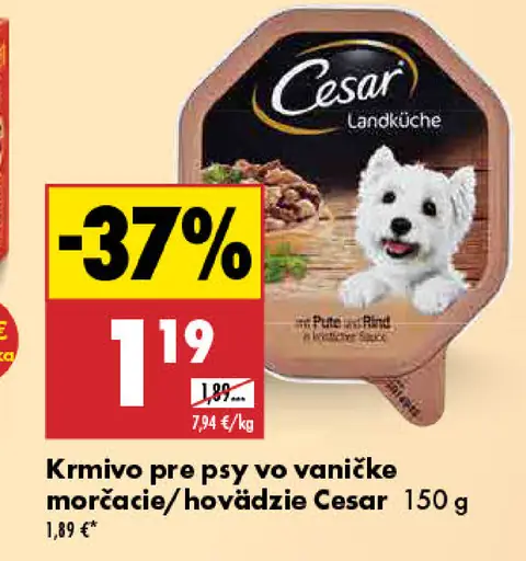 Cesar Landküche krmivo pre psy vo vaničke morčacie/hovädzie