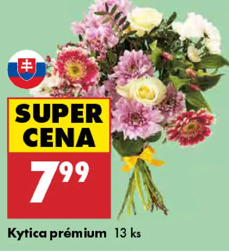 Kytica Premium
