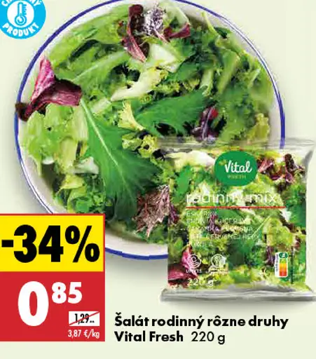 Vital Fresh šalát rodinný
