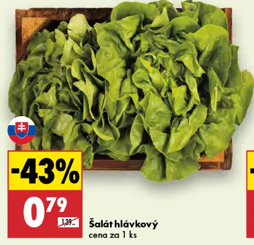 Šalát hlávkový čerstvý