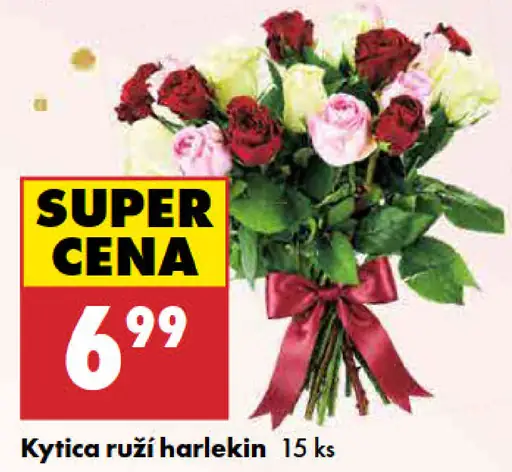 Kytica ruží harlekin