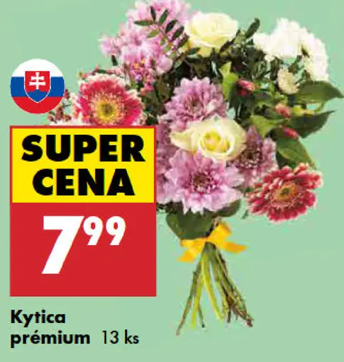 Kytica Premium
