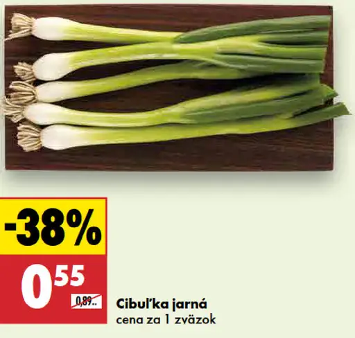 Cibuľka jarná