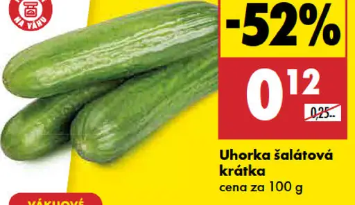Uhorka šalátová