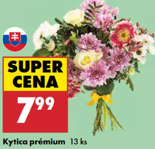Kytica Premium