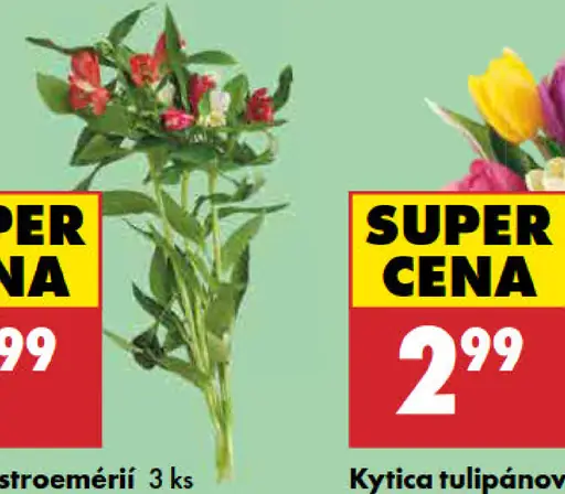 Kytica alstroemérií