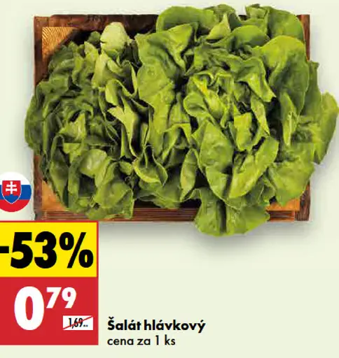 Šalát hlávkový čerstvý
