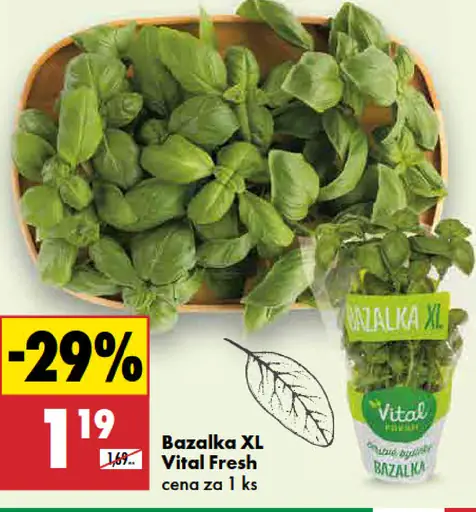Vital Fresh Bazalka XL