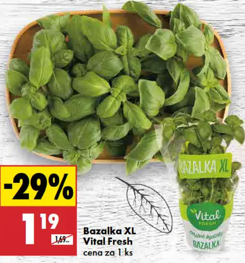 Vital Fresh Bazalka XL