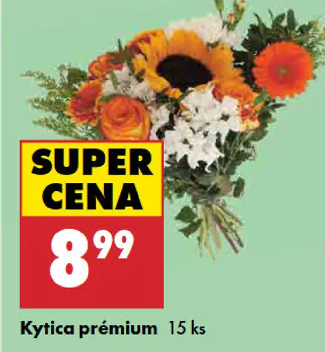 Kytica Premium
