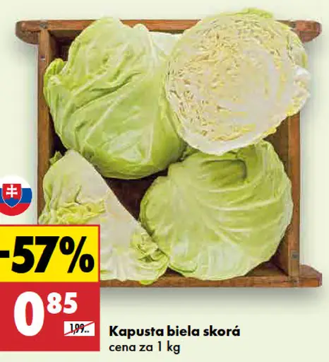Kapusta biela