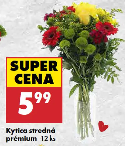 Kytica stredná premium
