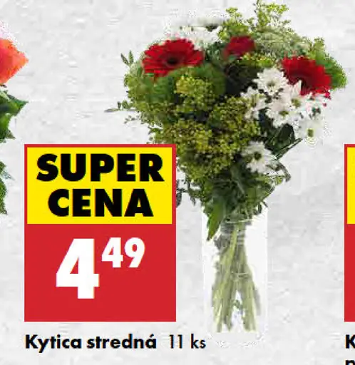 Kytica stredná