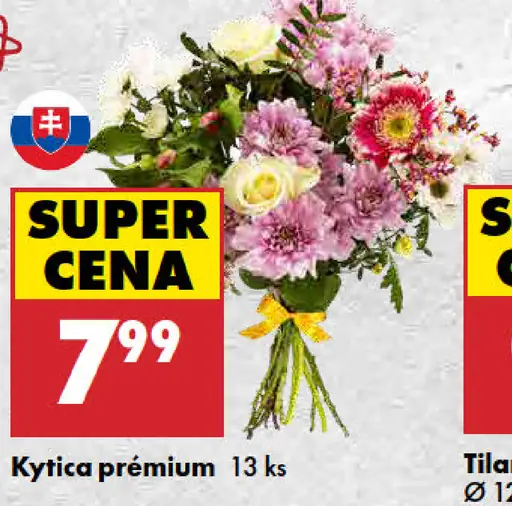 Kytica Premium