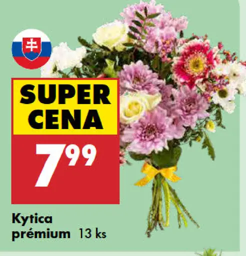 Kytica Premium
