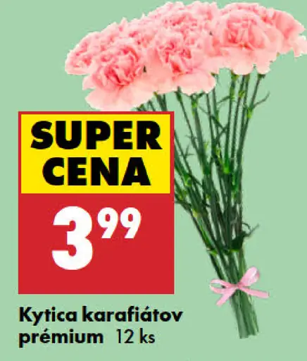 Kytica karafiátov prémiová
