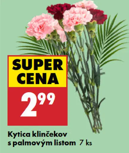 Kytička klinčekov s palmovým listom