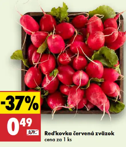 Reďkovka červená zväzok