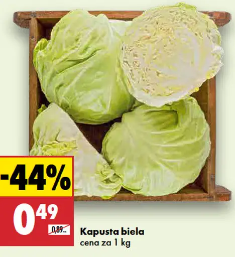 Kapusta biela