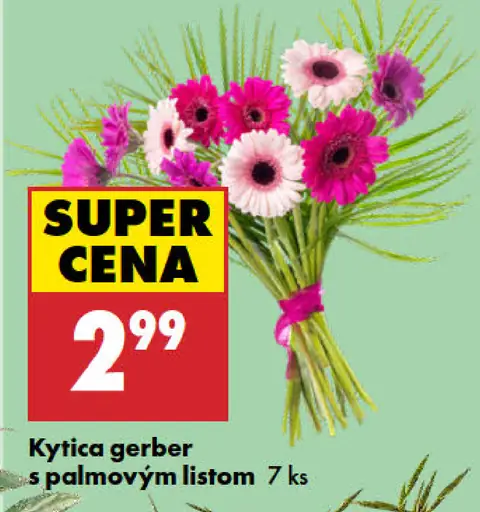 Kytica gerber s palmovým listom