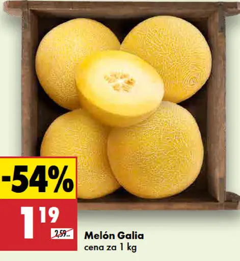 Melón Gália