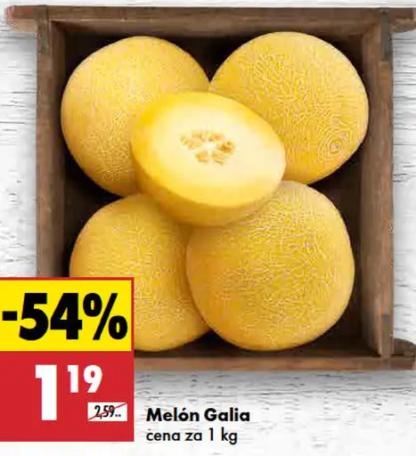 Melón Gália