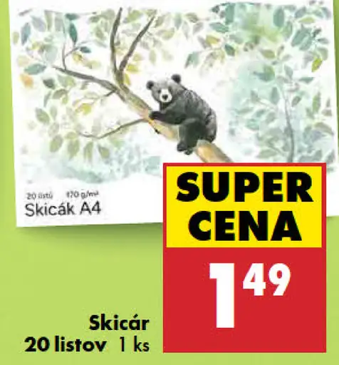Skicár
