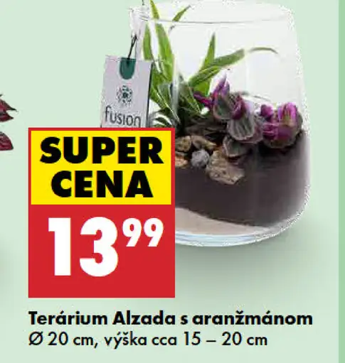 Terárium Alzada s aranžmánom