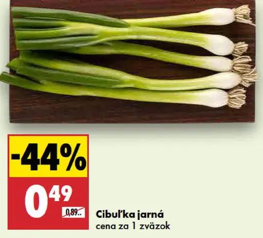 Cibuľka jarná