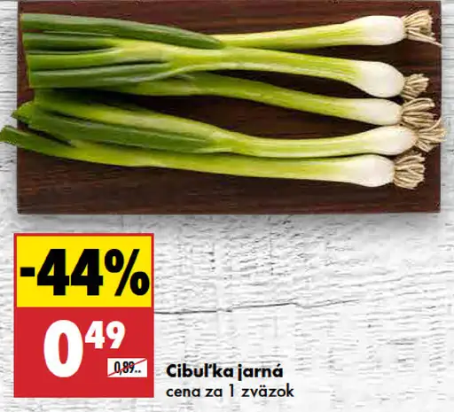 Cibuľka jarná