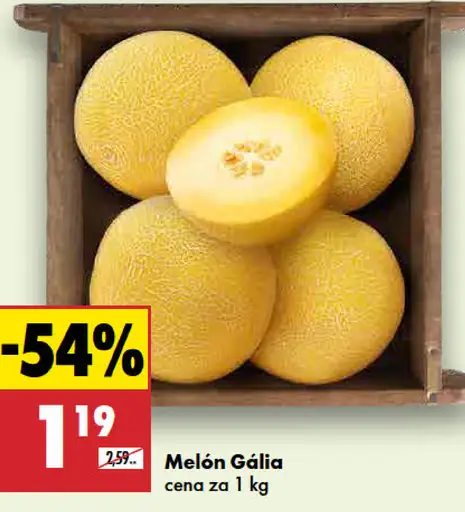 Melón Gália