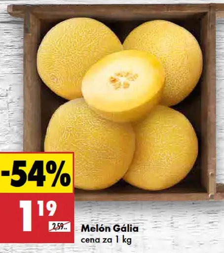 Melón Gália