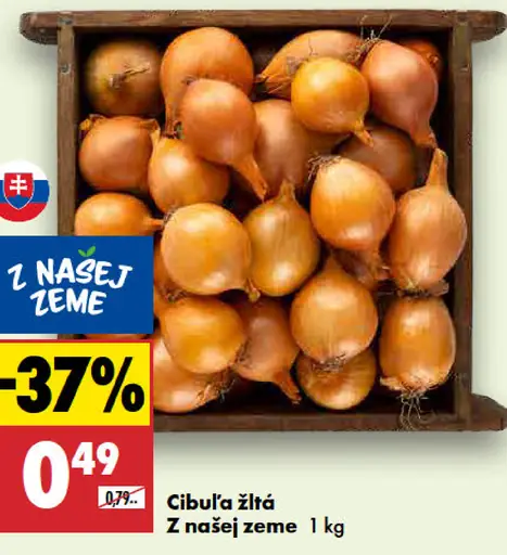 Cibuľa žltá