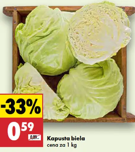 Kapusta biela