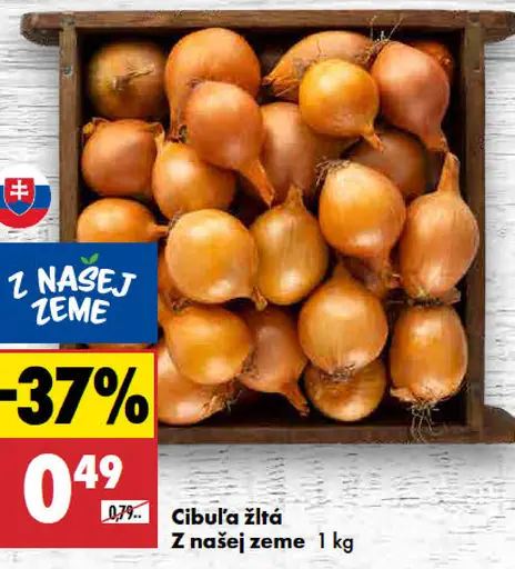 Cibuľa žltá