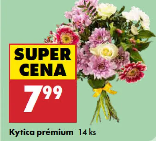 Kytica Premium