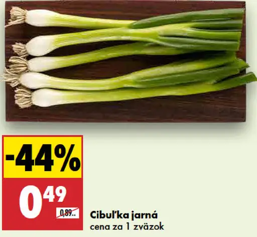 Cibuľka jarná