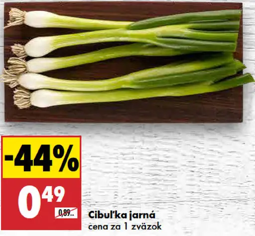 Cibuľka jarná