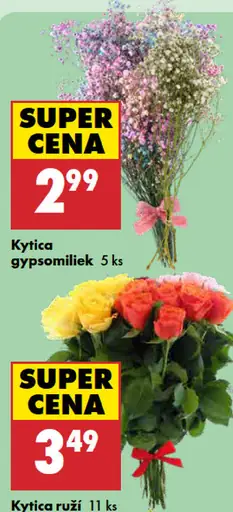 Kytica Gypsomiliek