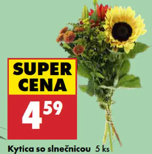Kytica so slnečnicou