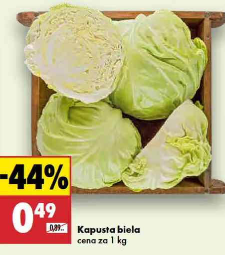 Kapusta biela