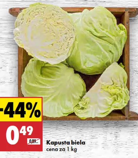 Kapusta biela