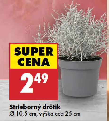 Strieborný drôtik v kvetináči, priemer 10,5 cm, výška cca 25 cm