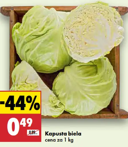 Kapusta biela
