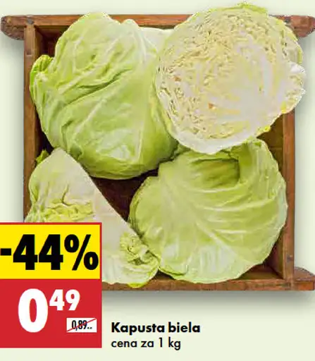 Kapusta biela