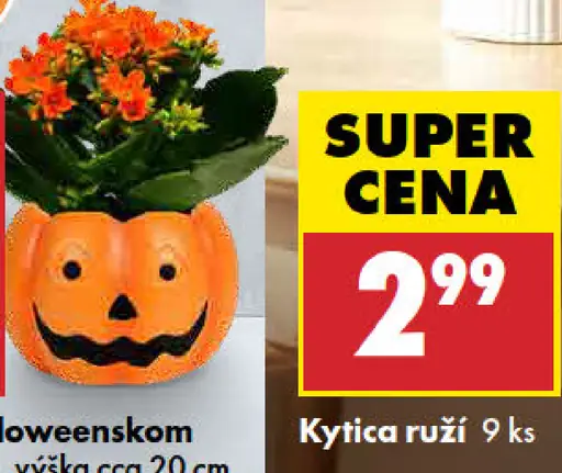 Kytica ruží