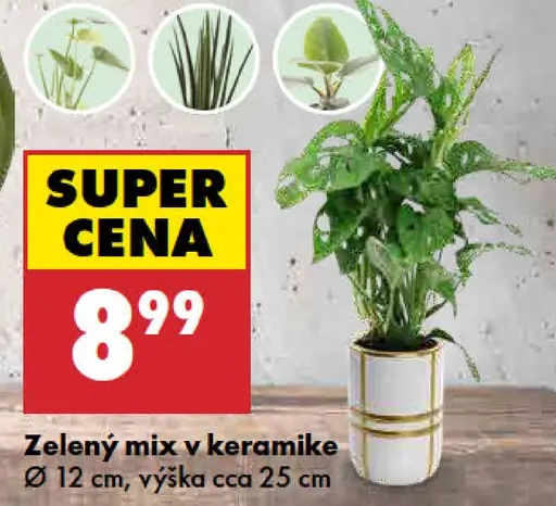 Zelený mix v keramike